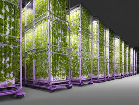 From pea to active pharmaceutical ingredient: OrbiFarm revolutionizes global food and drug production