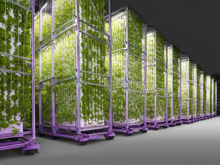 From pea to active pharmaceutical ingredient: OrbiFarm revolutionizes global food and drug production