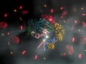Breakthrough in methane research: Activation mechanism of methane-producing enzyme decoded