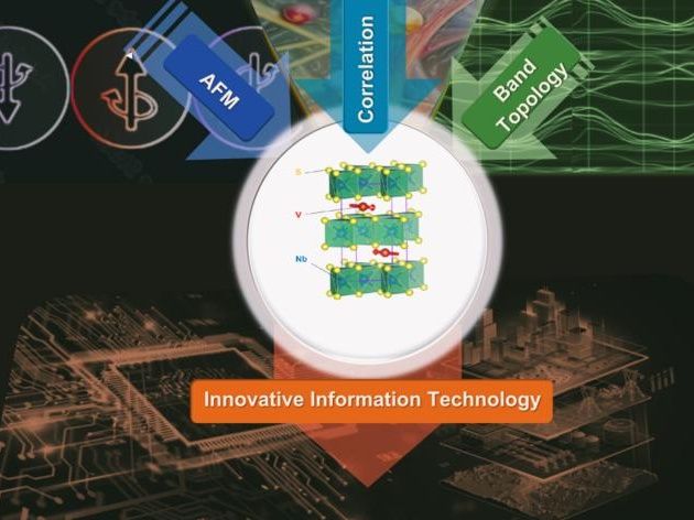 Ray et al 2025
