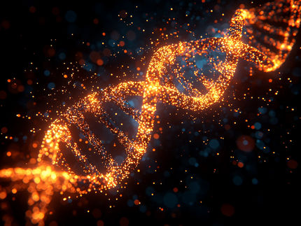 Wie sich die DNA im frühen Embryo selbst organisiert