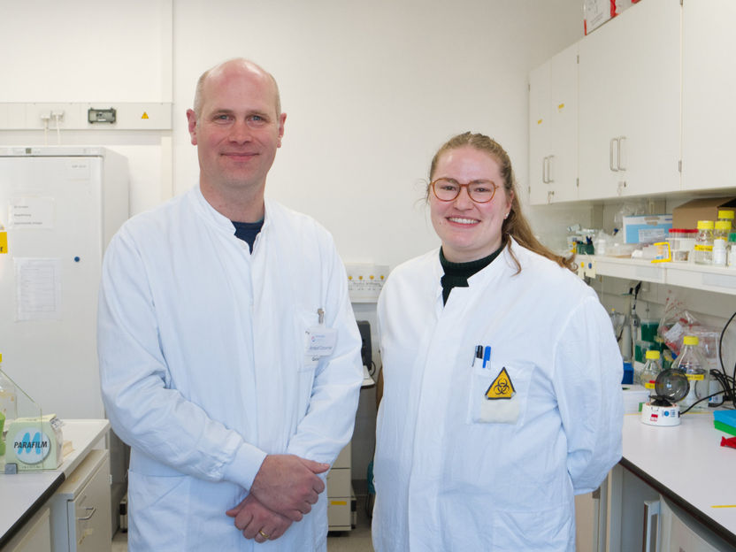 Better insights into the hepatitis D virus - Hannover researchers develop stem cell-based infection model