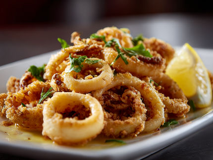 Research update: Plant-based calamari that rivals real seafood in texture