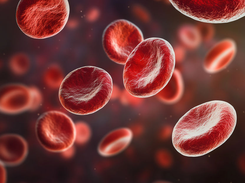 Heidelberg start-up develops system for precise drug monitoring with just one drop of blood - Start-up portrait: QuantiLight revolutionizes blood tests with home monitoring platform