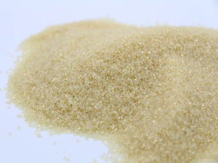 Französisches Start-up entwickelt biosourciertes Polymer als Plastikalternative für Industrieunternehmen