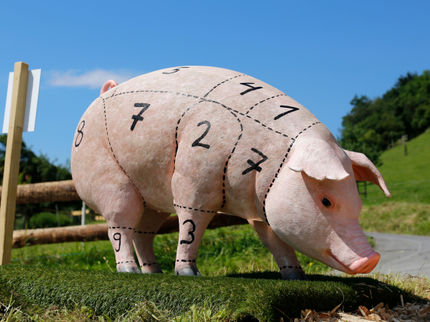 Fleischkonsum im Wandel: Zwischen Tradition und Innovation