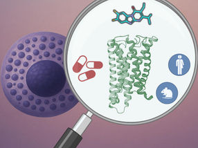 New Bioactive Compound for Difficult-to-Treat Allergies