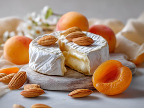 Österreichisches Food-Startup verwandelt Marillenkerne in veganen Käse-Genuss