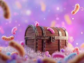 A digestive ‘treasure chest’ shows promise for targeted drug treatment in the gut