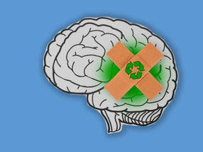 Promising Parkinson's drug decoded