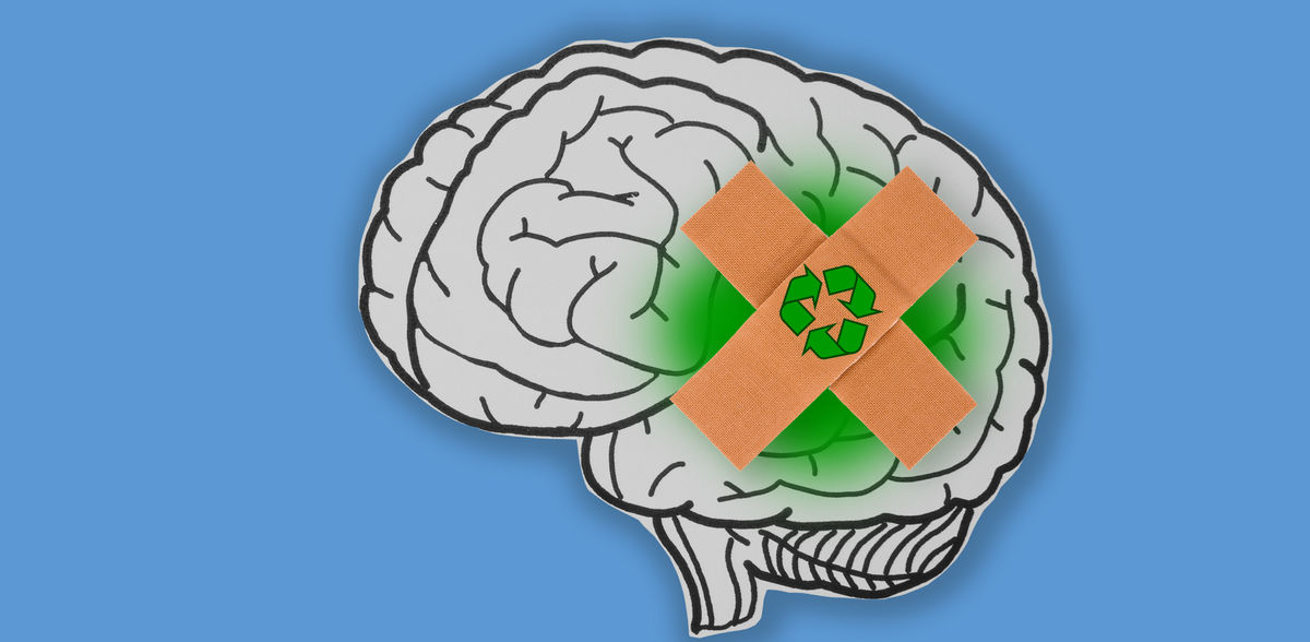 Décodage d'un médicament prometteur contre la maladie de Parkinson