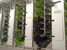 L'alimentation du futur