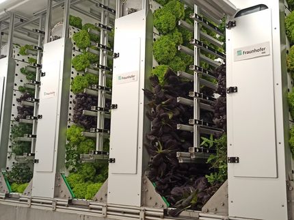 L'alimentation du futur