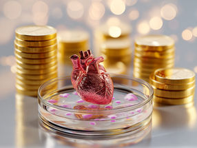 Miniature hearts that save a lot of time and money