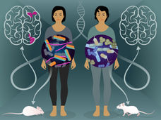 Uno studio sui gemelli individua i batteri dell'intestino tenue che svolgono un ruolo nello sviluppo della sclerosi multipla