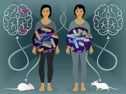 Uno studio sui gemelli individua i batteri dell'intestino tenue che svolgono un ruolo nello sviluppo della sclerosi multipla