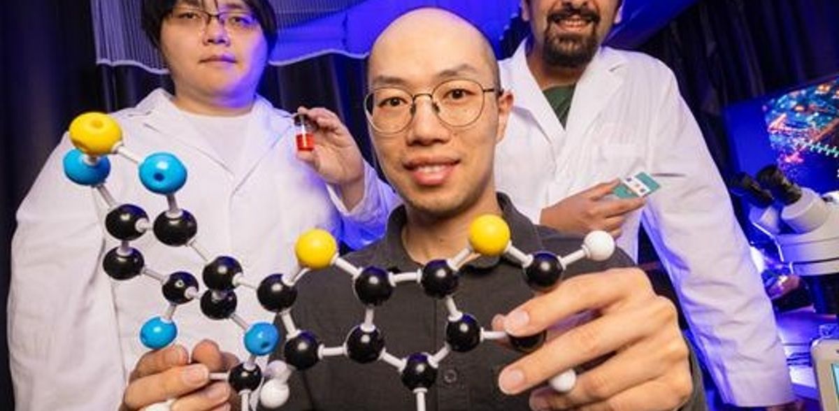 Una molecola unica potrebbe portare a computer più piccoli ed efficienti