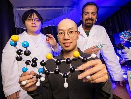 Une molécule unique pourrait conduire à des ordinateurs plus petits et plus efficaces