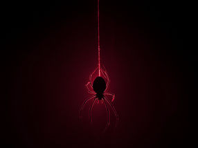 Gene-editing in spiders for the first time