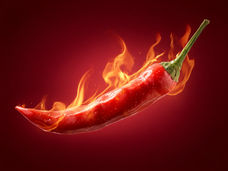 Uncovering compounds that tame the heat of chili peppers