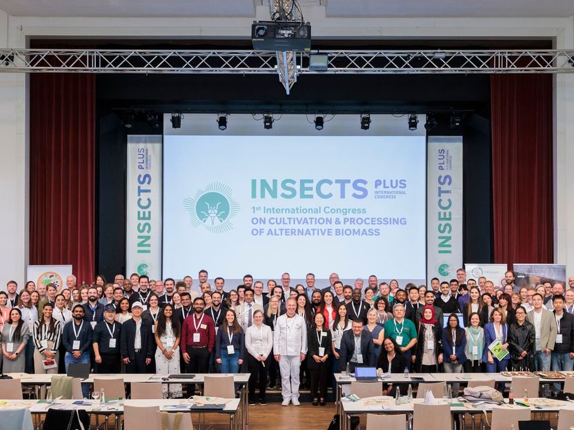 Congreso Insects Plus 2025 - Centrarse en las fuentes alternativas de proteínas - El premio a la mejor presentación de una startup fue para Jonathan Robertz, de MicroHarvest