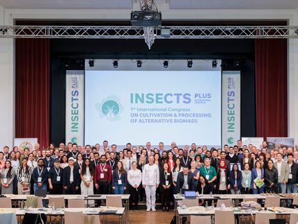Insects Plus Congress 2025 - Focus on alternative protein sources