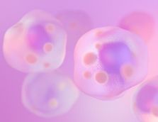 Comida rápida, impacto rápido: como as refeições gordurosas enfraquecem rapidamente as nossas defesas intestinais