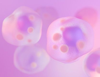 Comida rápida, impacto rápido: como as refeições gordurosas enfraquecem rapidamente as nossas defesas intestinais