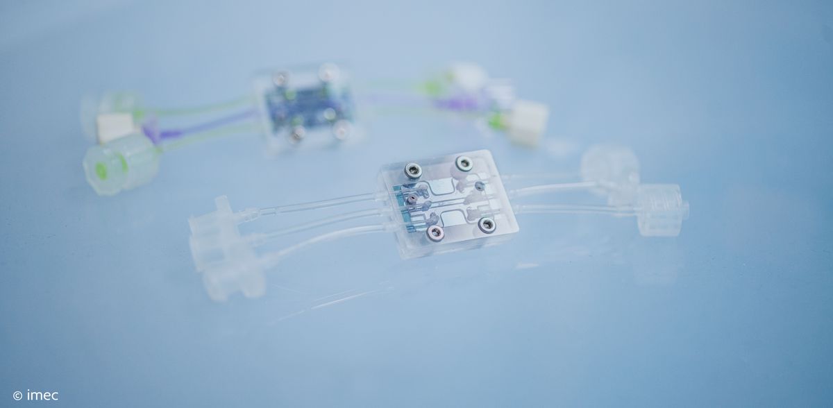 imec