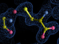 Une nouvelle complexité dans la chimie des protéines
