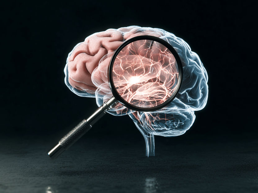 Descubierto un nuevo biomarcador de la enfermedad de Parkinson en los fluidos corporales - Una proteína mal plegada facilita el diagnóstico fiable incluso en las primeras fases de la enfermedad de Parkinson en fluidos corporales