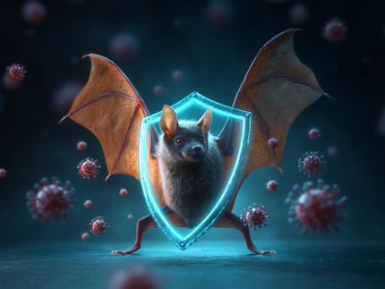 Svelare i segreti dell'immunità dei pipistrelli