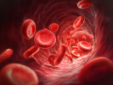 Come l'invecchiamento modifica il sistema sanguigno
