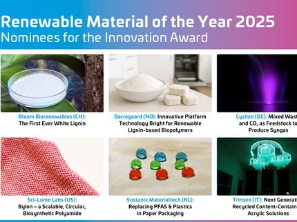 Renewable Materials Conference 2025: Nominierte für den Innovationspreis bekannt gegeben