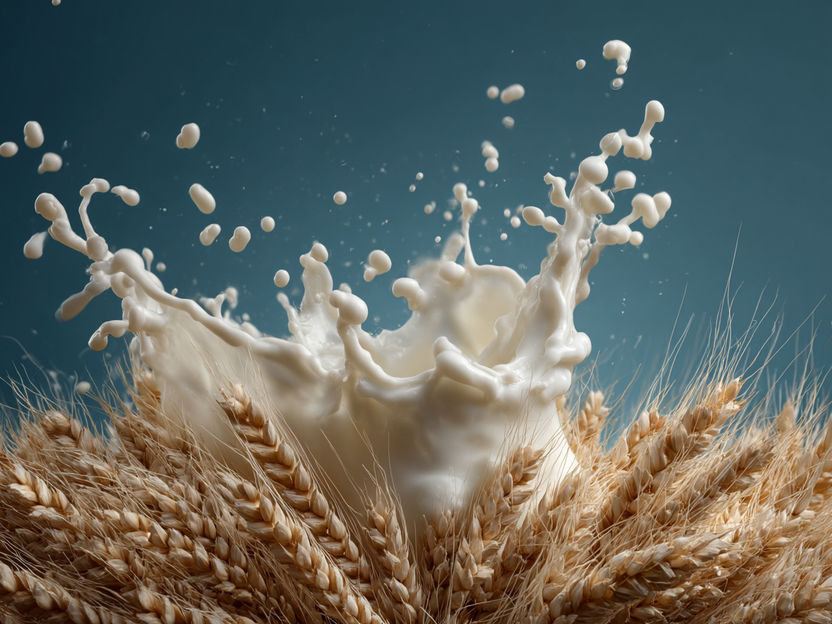 Knuspr sets new standards for lactose-free nutrition - Even greater choice for consumers with lactose intolerance