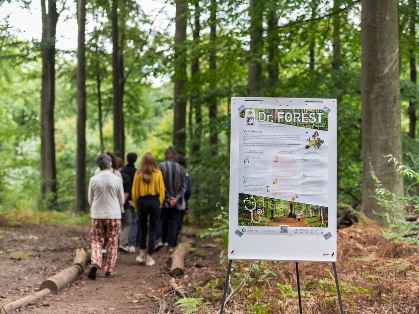 How forests can benefit our health - ‘Dr. Forest’ study shows: Forest structure and biodiversity crucial for health effects