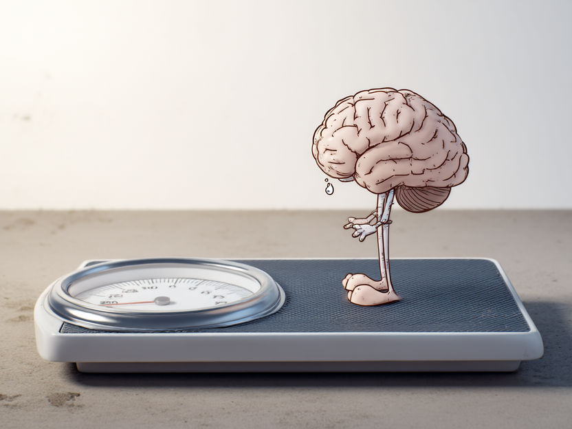 Newly identified group of nerve cells in the brain regulates bodyweight - Potential for novel obesity treatments
