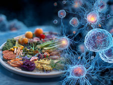 Food: friend, not foe – new study explains why