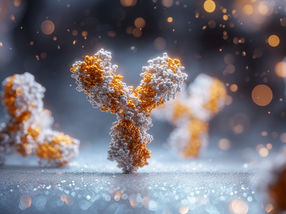 Acordo de mil milhões de dólares para anticorpos contra o cancro: BioNTech e Bristol Myers Squibb unem forças