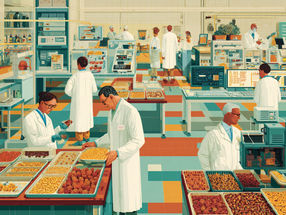 Los científicos proponen un nuevo enfoque para clasificar los alimentos procesados