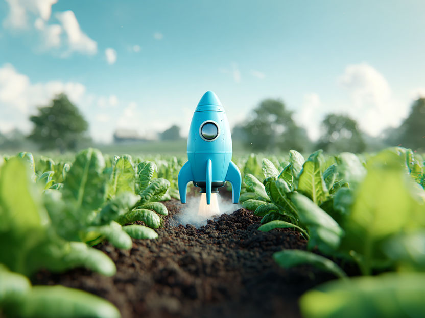 Smart fertilization with biosensor strips - Start-up NutriSen gets the laboratory on the field