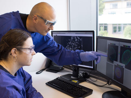 Broad-spectrum antiviral compounds discovered