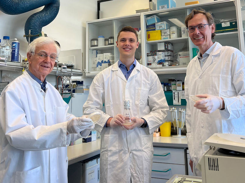 La levadura produce DNasa1 humana por primera vez - En la actualidad, la proteína humana sólo se produce en células de mamíferos, lo que supone un esfuerzo y un gasto considerables