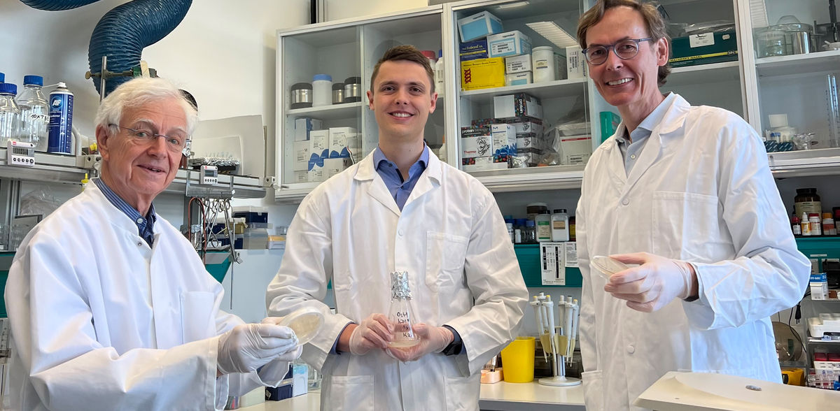 La levure produit pour la première fois de la DNase1 humaine