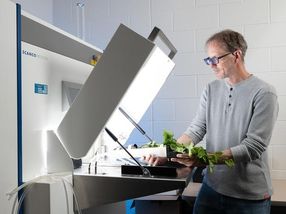 Une étude révèle que les plantes résistantes à la sécheresse sont prometteuses pour la production alimentaire future