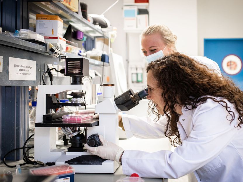 Un virus terapeutico contro il cancro - La start-up Fusix Biotech esplora nuove strade nell'immunoterapia
