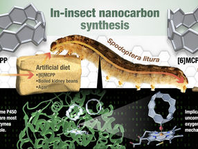 Insectos como fábricas de produção de mini-moléculas, marcando um avanço na engenharia química