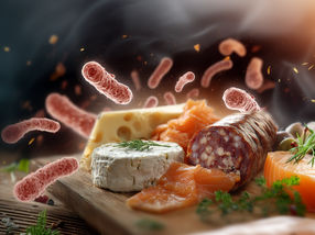 Comment l'alimentation affecte la survie de Listeria dans le tube digestif