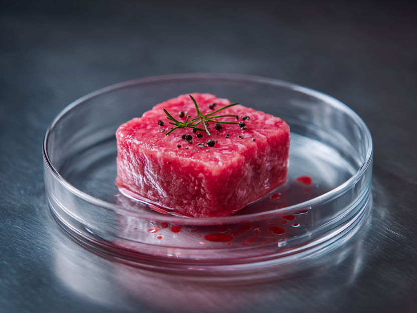 Quel est le goût de l'avenir ? - La recette du succès : renforcer le goût de la viande cultivée avec des acides aminés