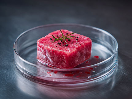 Wie schmeckt die Zukunft?